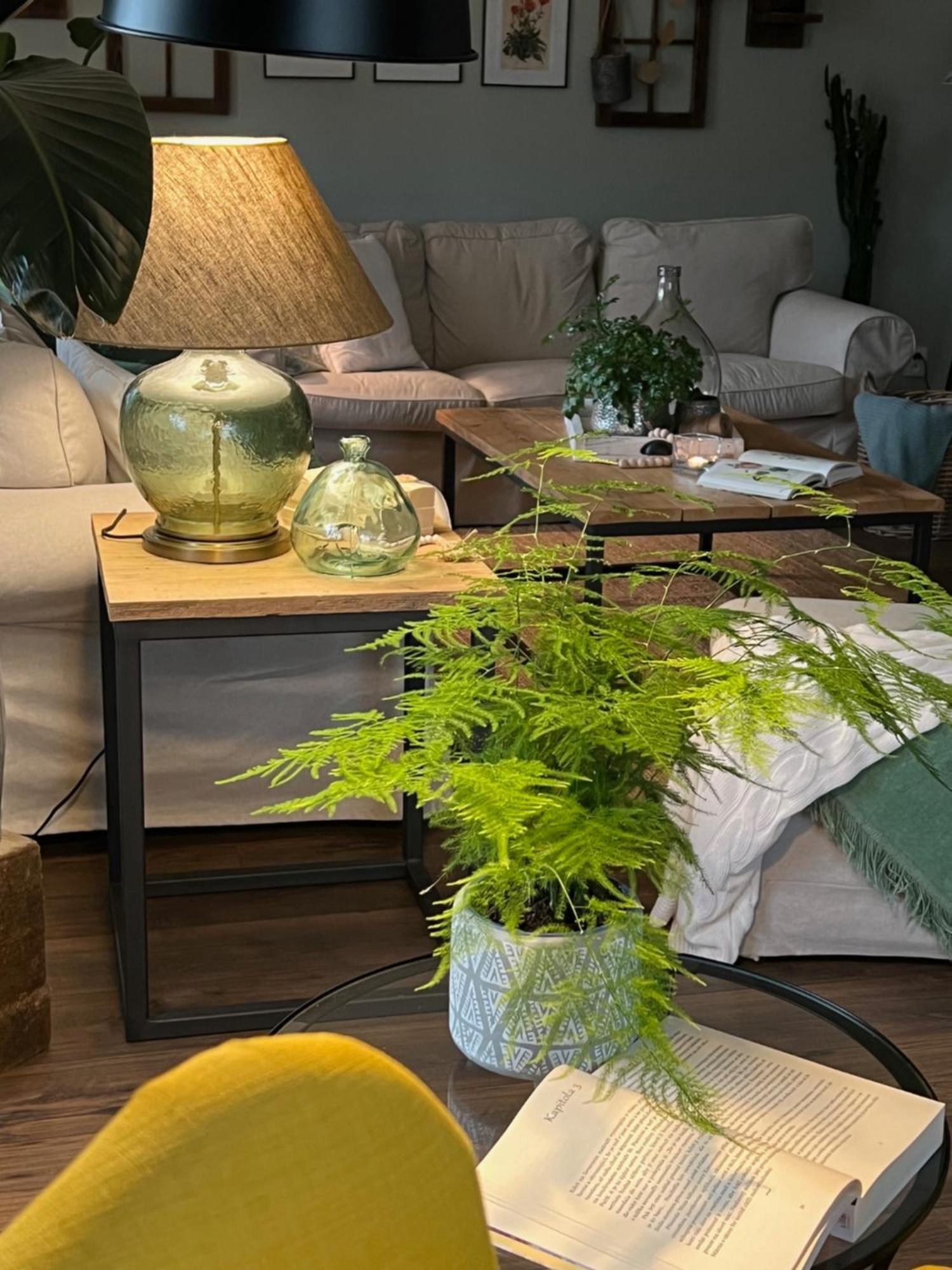 Orchardhouse Farmhouse, Wellness Chrast  エクステリア 写真
