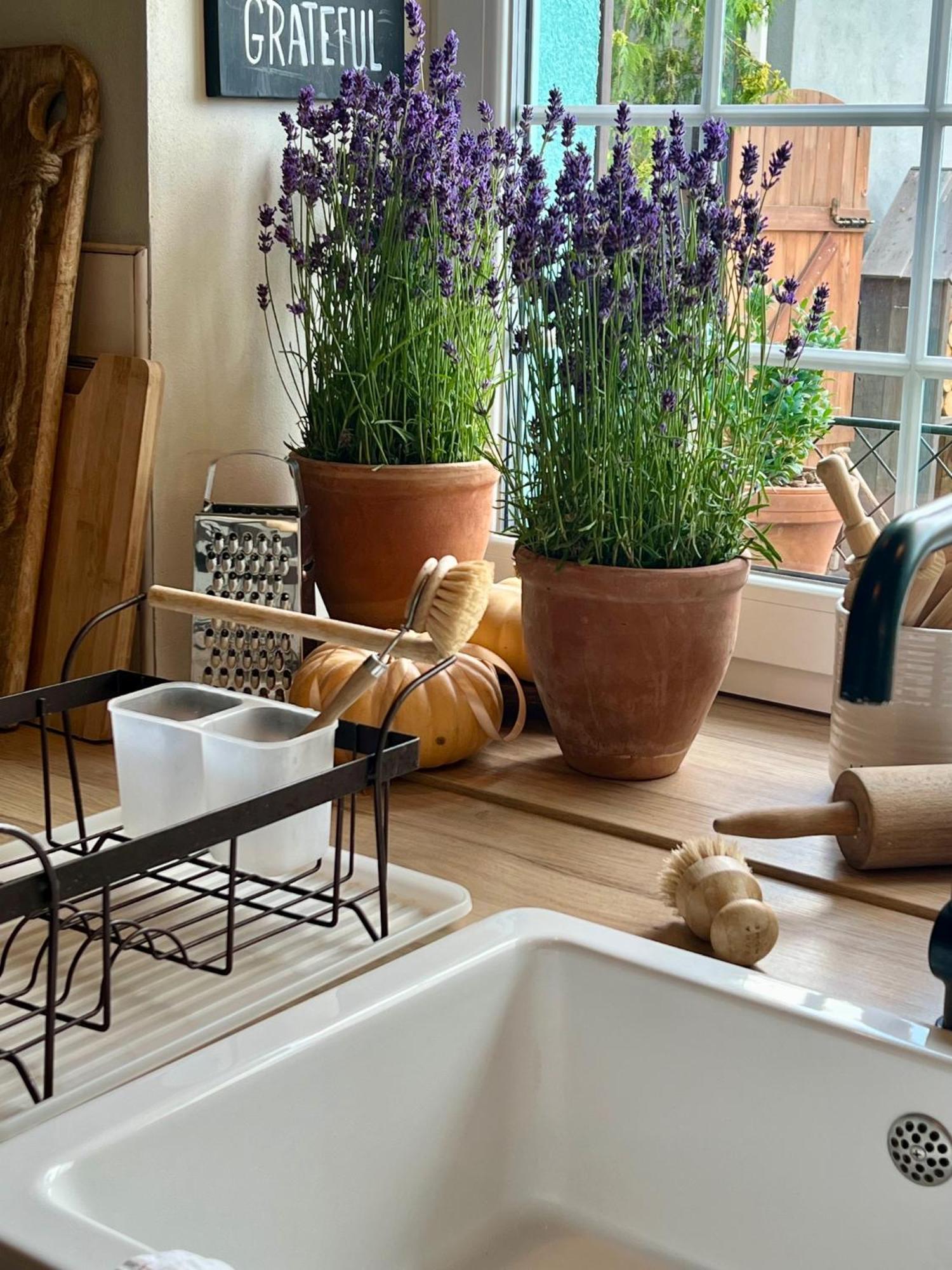 Orchardhouse Farmhouse, Wellness Chrast  エクステリア 写真