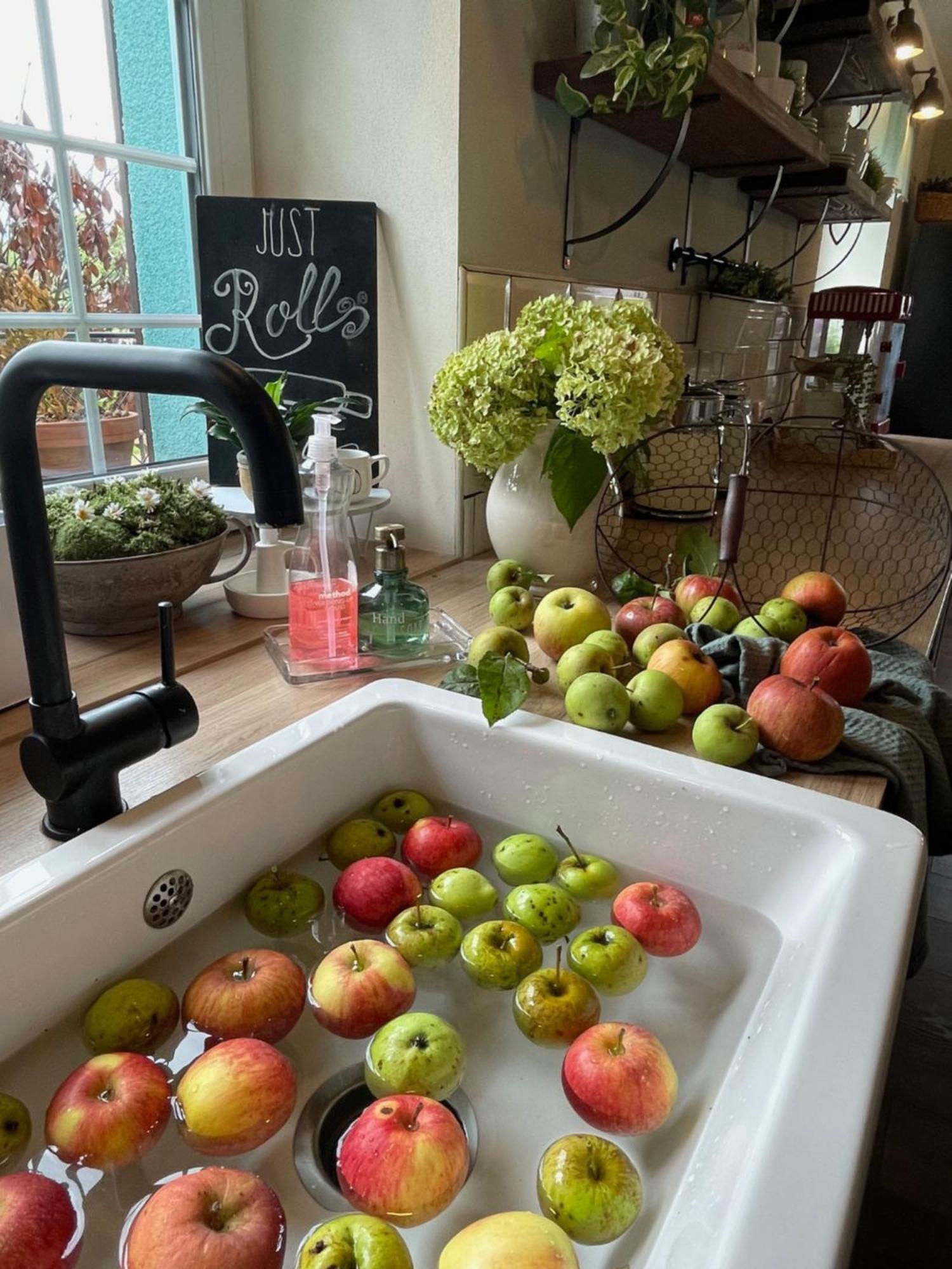 Orchardhouse Farmhouse, Wellness Chrast  エクステリア 写真