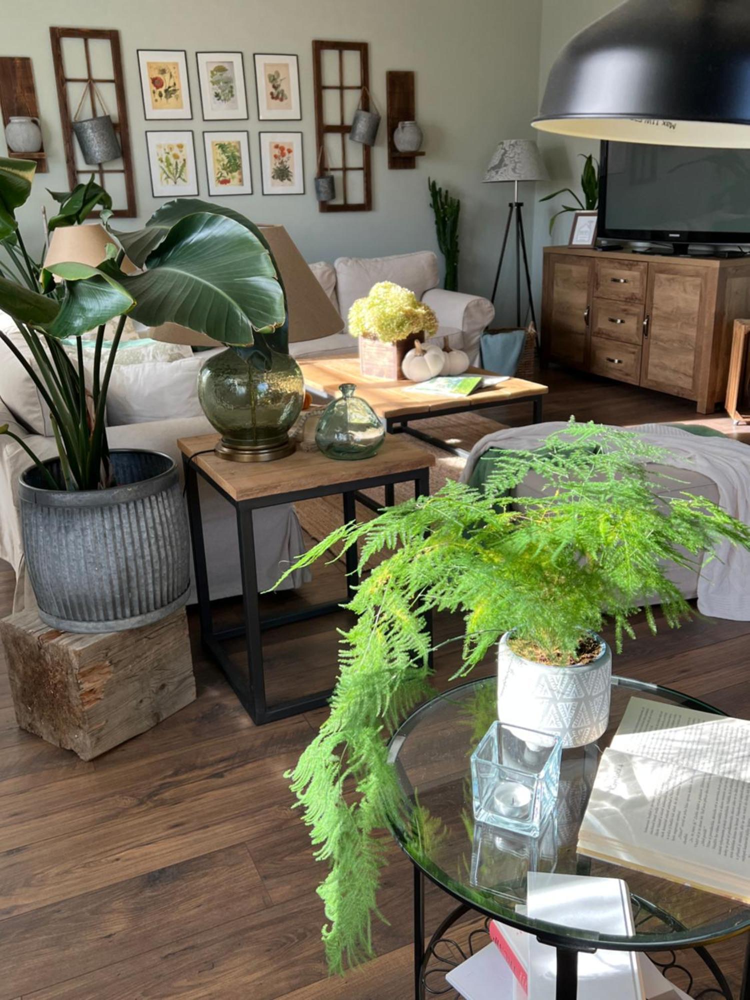 Orchardhouse Farmhouse, Wellness Chrast  エクステリア 写真